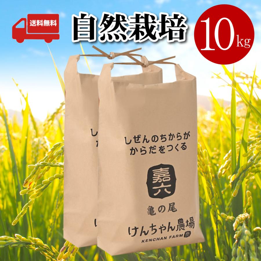 亀の尾 自然栽培米 玄米 10kg 白米 無農薬 無肥料 古代米 (けん