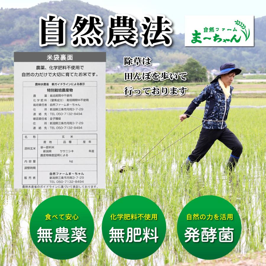 自然農法 ササニシキ 玄米 5kg 白米 無農薬 無肥料 自然米 (ま