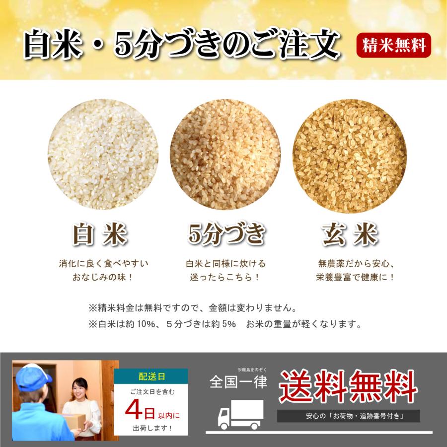 Amazon.co.jp: 無農薬 玄米 5kg ヒノヒカリ 熊本県産 新米 令和6