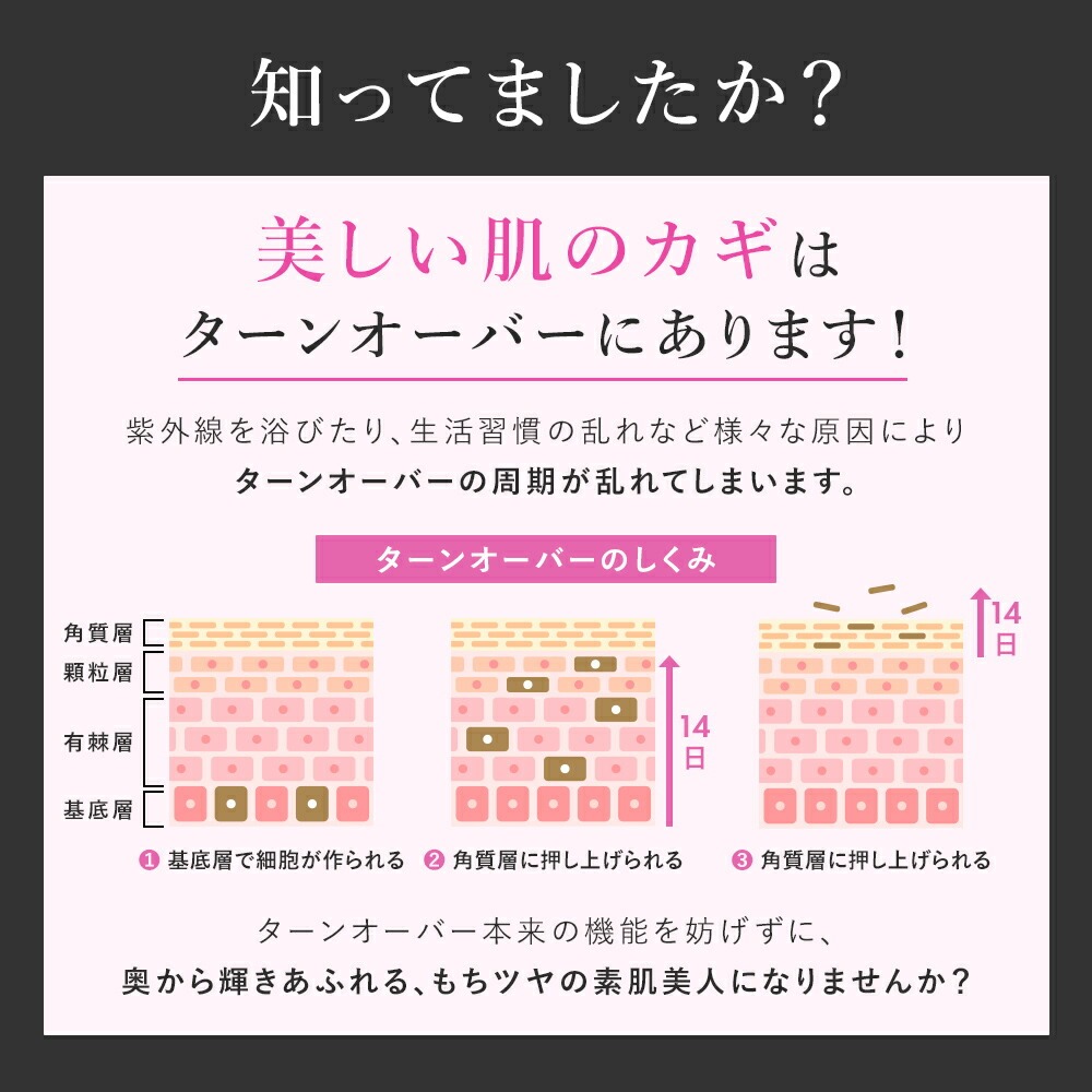 PHOEBE BEAUTY UP（フィービービューティーアップ） フィービー リッチ