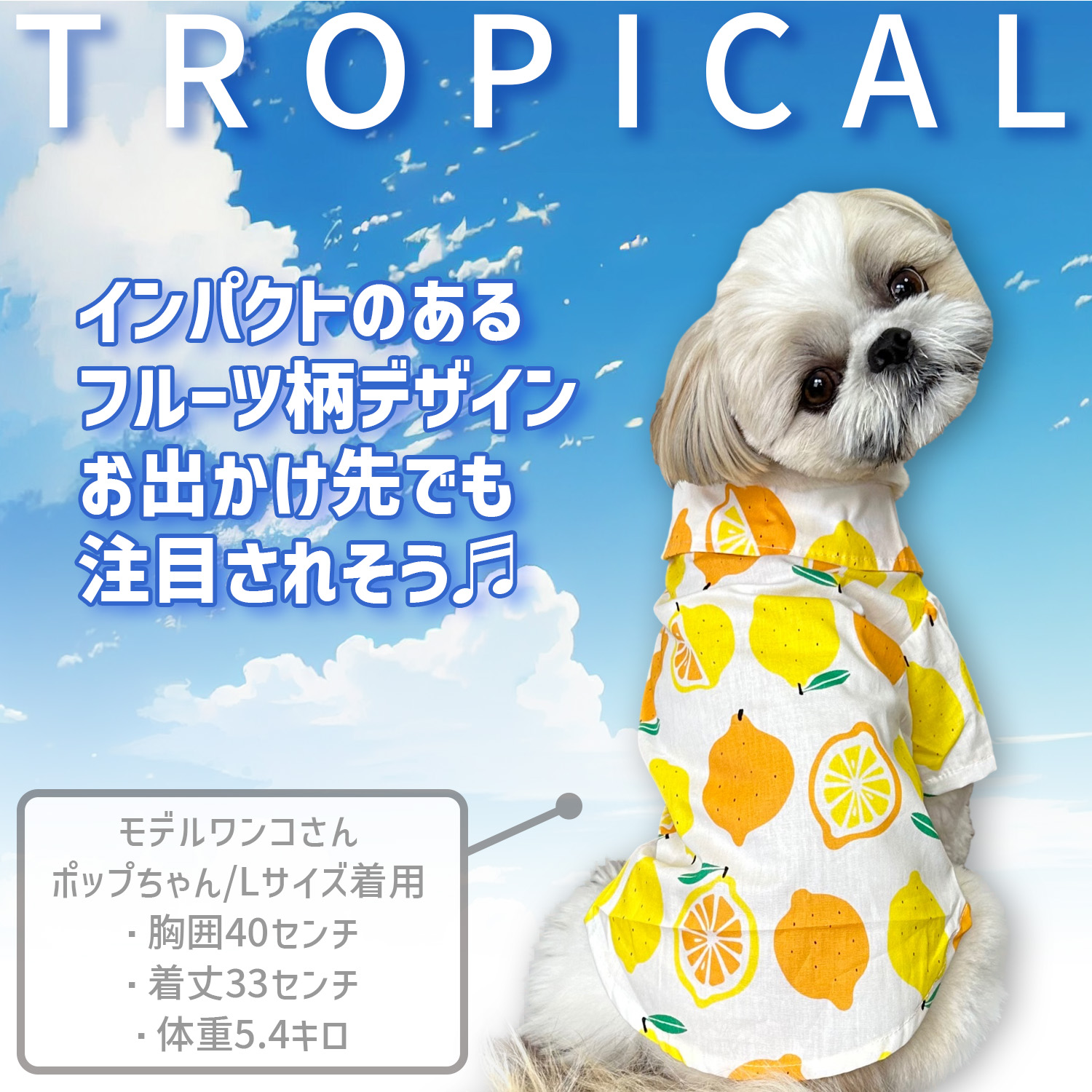 犬 服 犬服 おしゃれ 夏用 猫 ペット クール な 夏服 犬の服 夏 春夏