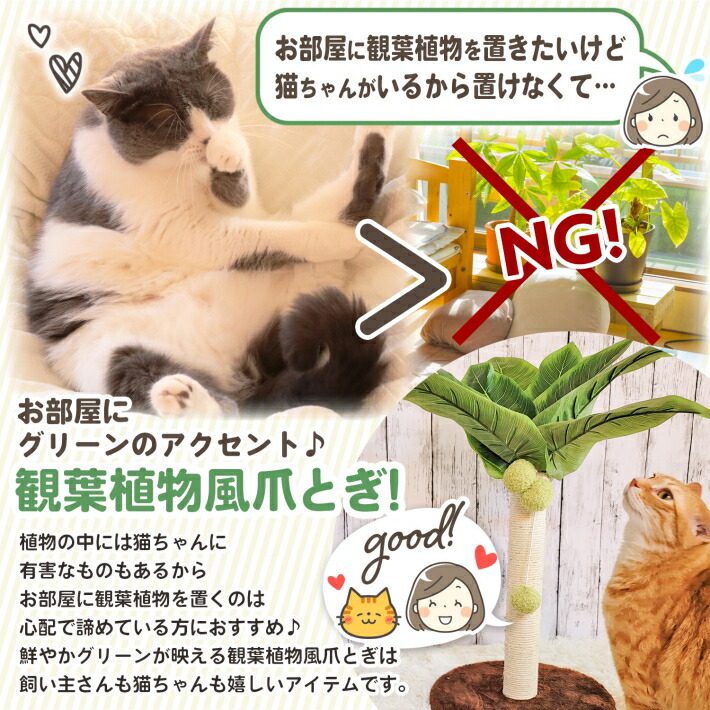 爪とぎ 猫 おしゃれ 対策 おもしろ ボール ねこ かわいい 植物 SNS