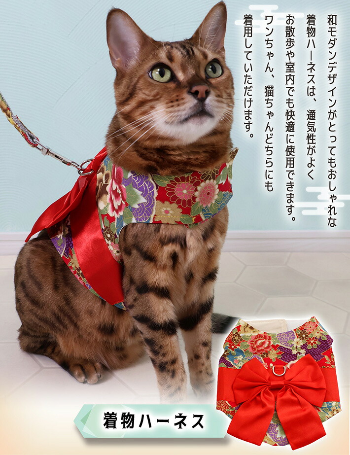 ハーネス 犬 猫 ペット 着物 和風 おしゃれ リボン 和柄 花 お正月 SNS