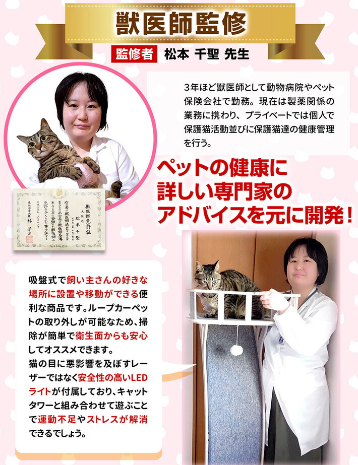 キャットタワー スリム おしゃれ 窓 吸盤 木製 爪とぎ 猫 ベッド 大型