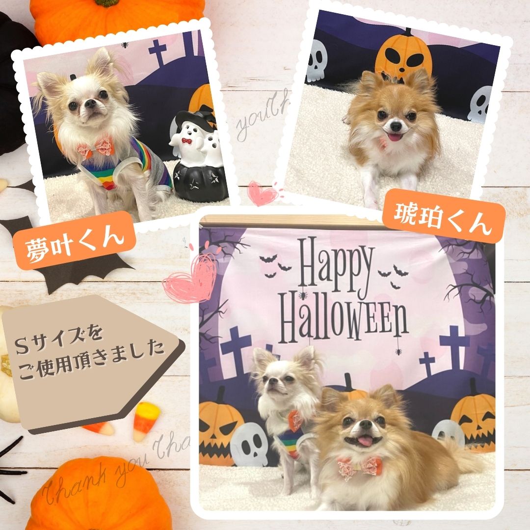 ハロウィン 飾り タペストリー 背景布 かぼちゃ 装飾 仮装 犬 猫