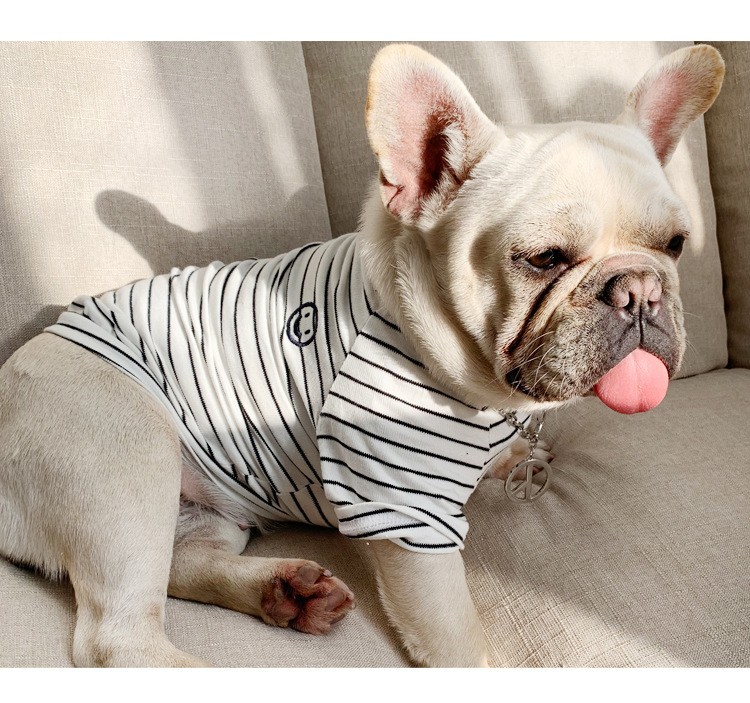 犬服 ペット ボーダー Tシャツ リンクコーデ /ペットペア半袖ボーダー