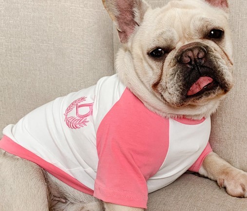 with 犬服Sサイズ　人用　L-XLサイズ　ピンク　ペアルック　セット 犬 服 犬とお揃いコーデ 犬とお揃いの服 ペアルック になる ペット服