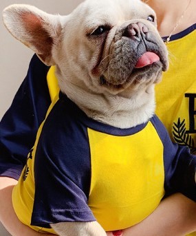 犬 服 犬とお揃いコーデ 犬とお揃いの服 ペアルック になる ペット服