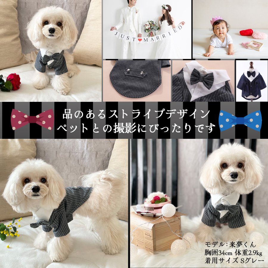 犬服 犬 服 フォーマル 前開き タキシード 男の子 誕生日 結婚式