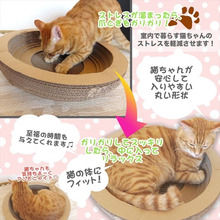 楽天市場】【まもなく締め切り】予約販売 バラ苗 バラ新苗 激愛