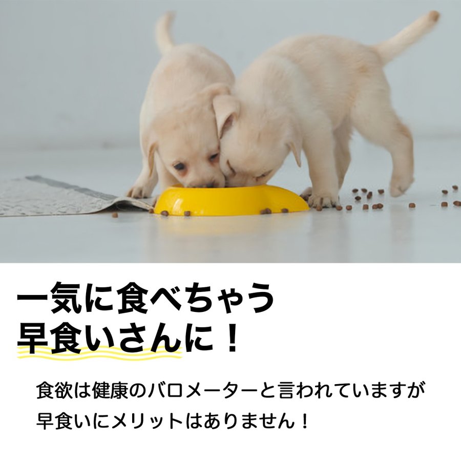 フードボウル 犬 早食い防止 犬用食器 猫用食器 犬用 猫 肉球タイプ