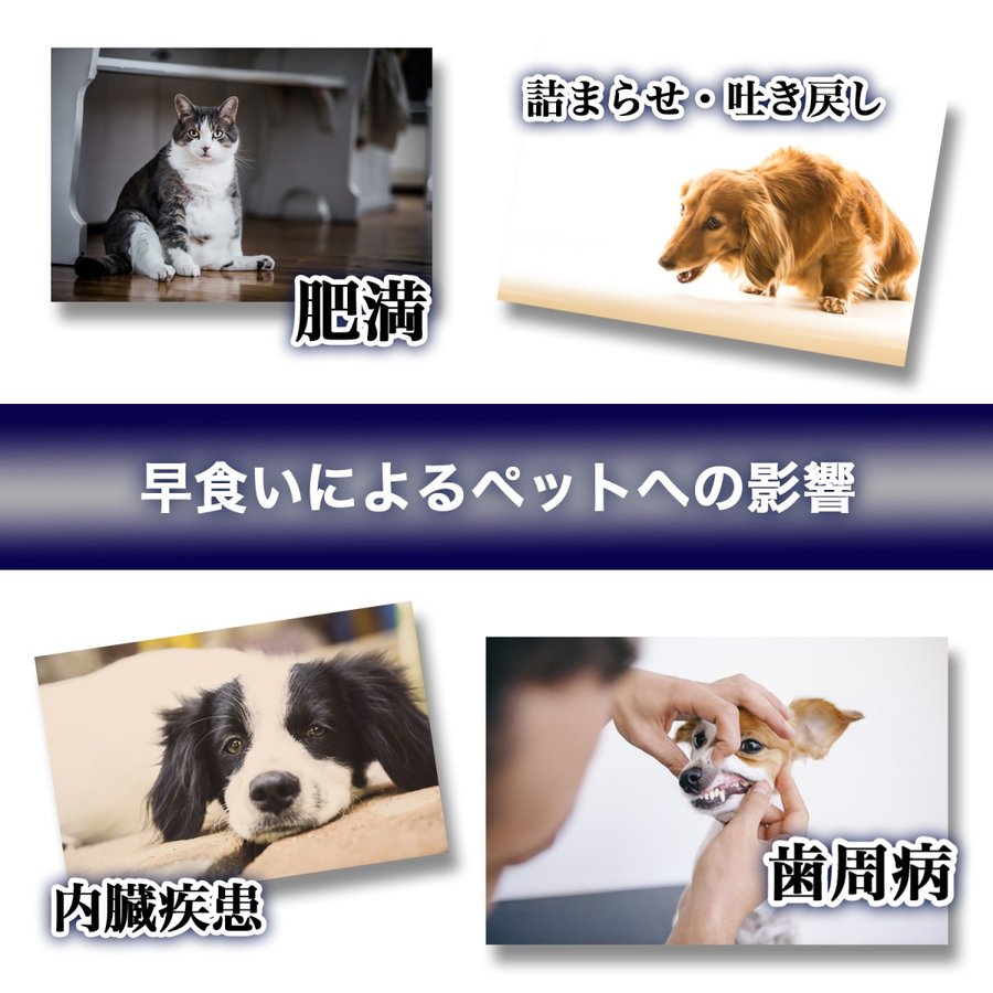 フードボウル 犬 早食い防止 犬用食器 猫用食器 犬用 猫 肉球タイプ