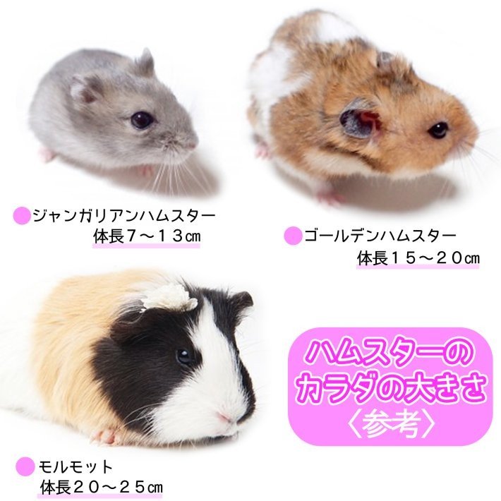 ハムスター グッズ 2層 メッシュ ハンモック ベッド Sサイズ Lサイズ