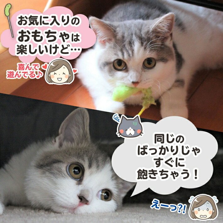 猫 おもちゃ 猫じゃらし (4点セット) 羽おもちゃ ロングじゃらし
