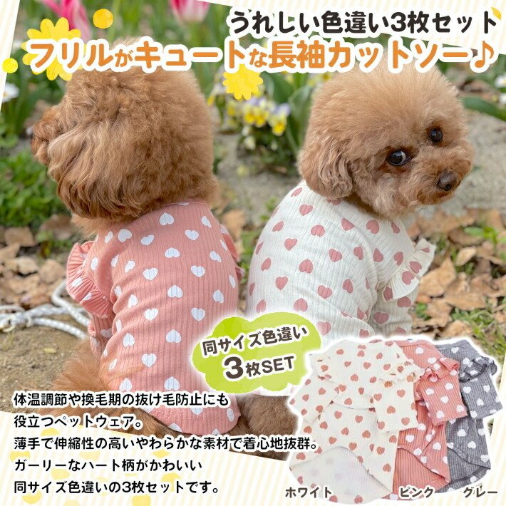 phoenix-zakka_ns00590_2.jpg