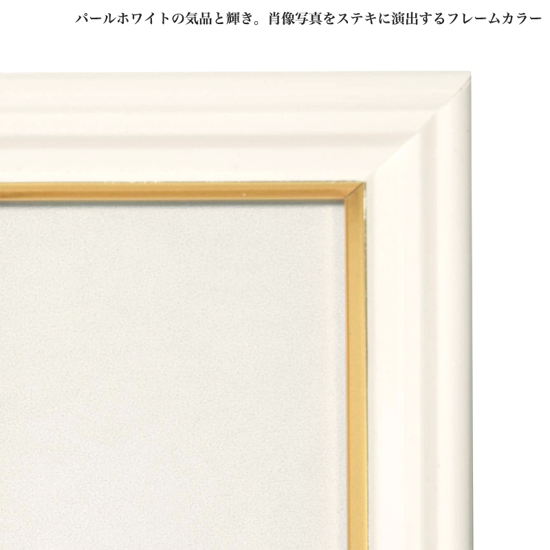 FUJIFILM（フジフイルム） ハーフサイズ 肖像額縁 1/2Lサイズ 写真立て
