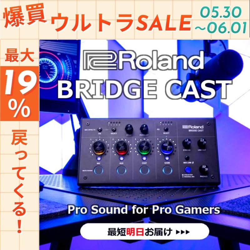 5/30〜☆ポイント最大19％】【最短翌日お届け】Roland ローランド
