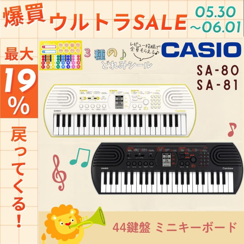CASIO（カシオ） 【5/30〜☆ポイント最大19％】【最短翌日お届け