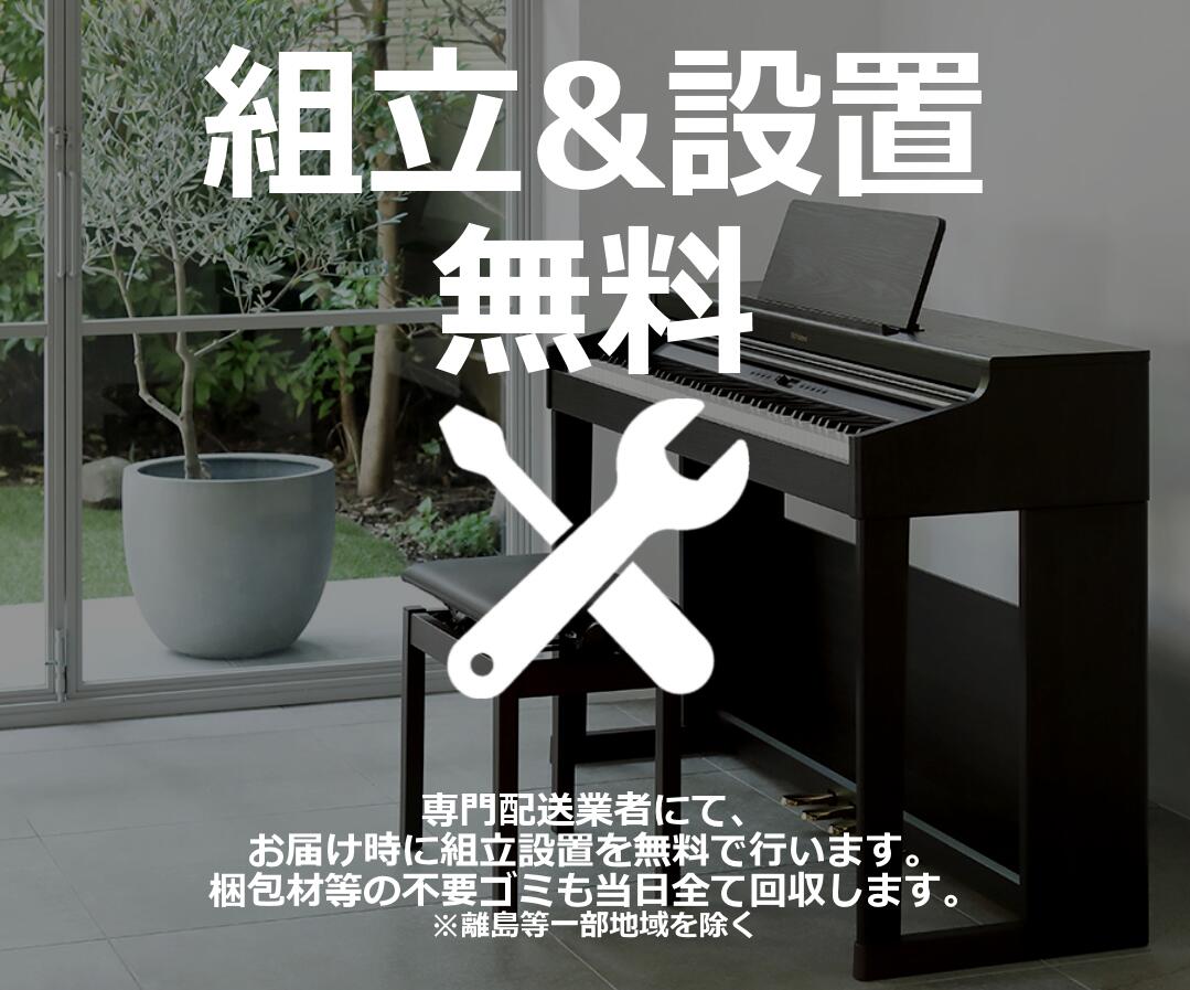 KAWAI 【CN201/Lomiy ロミィ】【配送設置無料】KAWAI カワイ