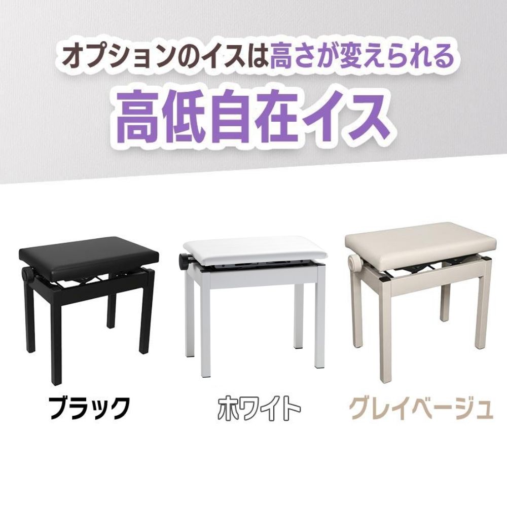 CASIO（カシオ） 【最短翌日お届け】電子ピアノ CASIO CELVIANO AP