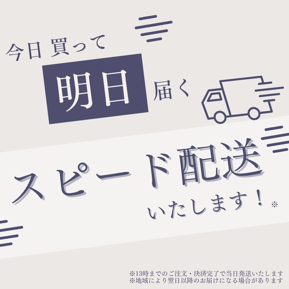 ローランド（Roland） 【5/15はポイント+4％】【最短翌日お届け】電子