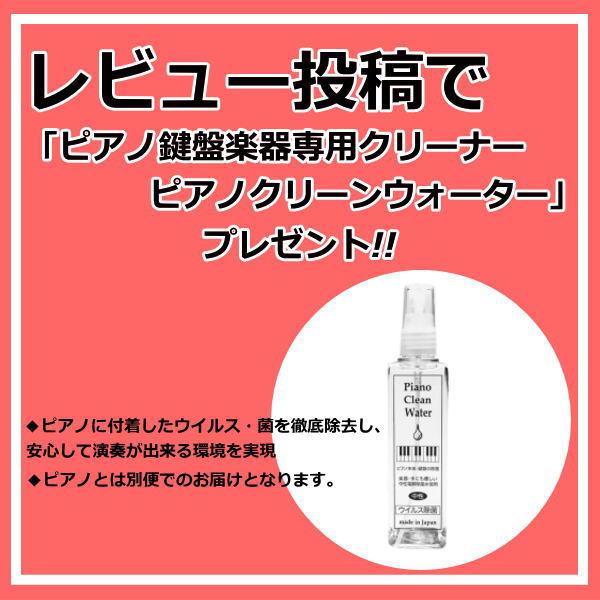 CASIO（カシオ） 【5のつく日☆ポイント+4％】【新品】電子ピアノ 88