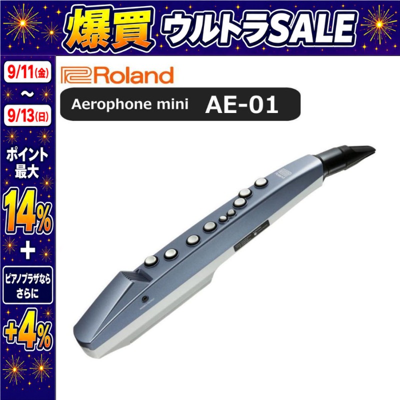 ローランド（Roland） 【9/11〜ポイント最大14%】【最短翌日お届け