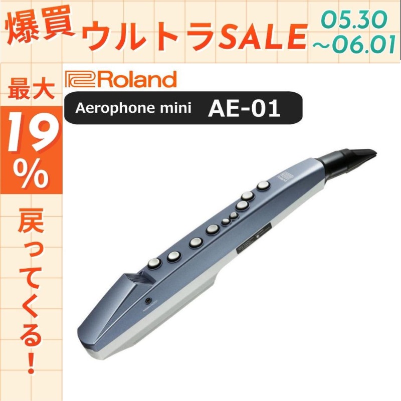 ローランド（Roland） 【6/1まで☆ポイント最大19％】【最短翌日お届け
