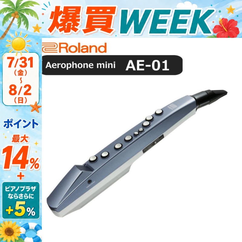 ローランド（Roland） 【8/2まで☆さらにポイント+5％】【最短翌日お