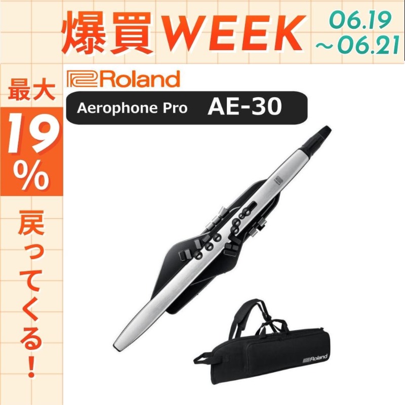 ローランド（Roland） 【今日まで☆ポイントUP】【最短翌日お届け 