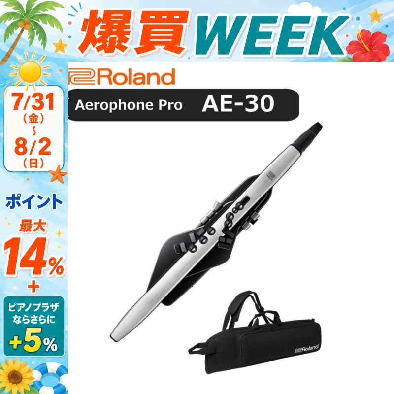 Roland AE-30 Aerophone Pro エアロフォンプロ 美品 ローランド（Roland） 【8/2まで☆さらにポイント+5％】【最短翌日お