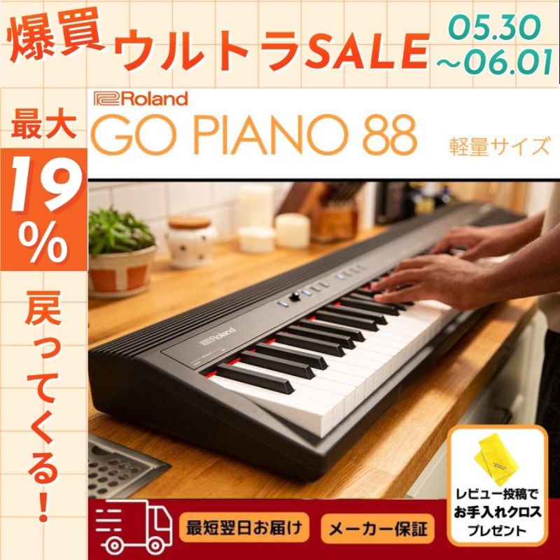 ローランド（Roland） 【5/30〜☆ポイント最大19％】【新品】電子