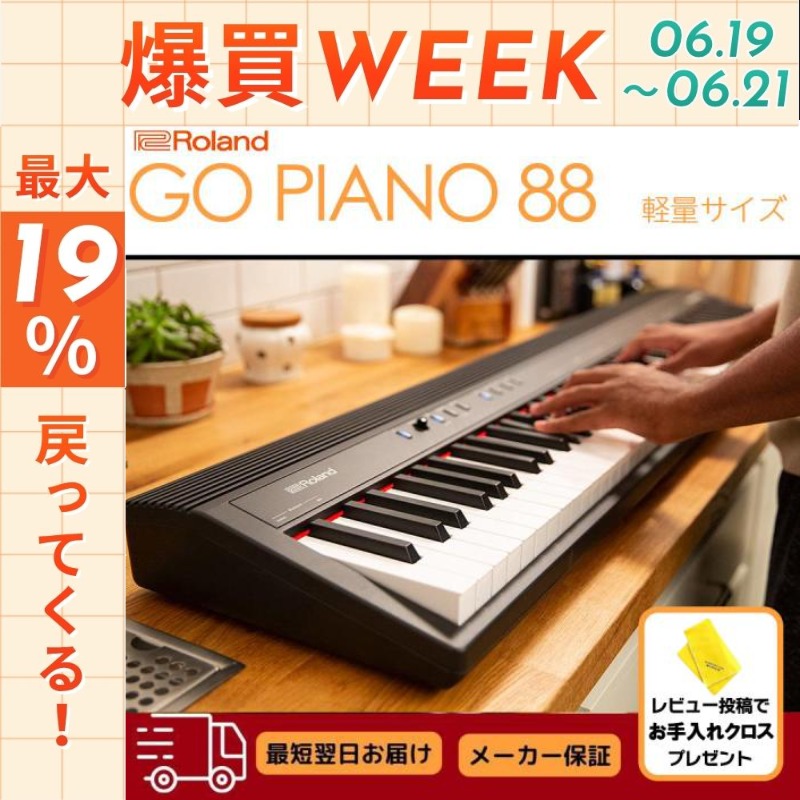 ローランド（Roland） 【6/19〜☆ポイント還元率UP】【新品】電子
