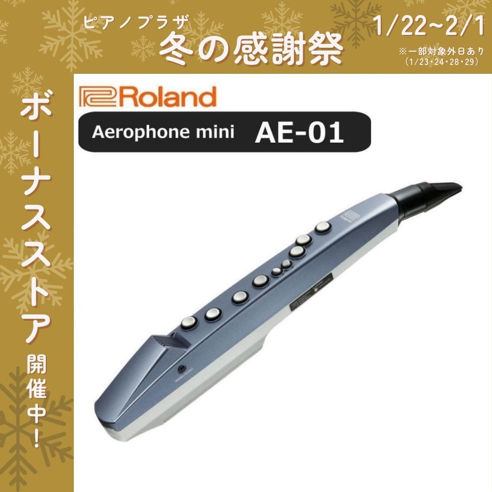 管楽器・吹奏楽器 Roland Aerophone mini AE-01 Amazon.com: Roland Aerophone AE-01 Mini Digital Wind Instrument