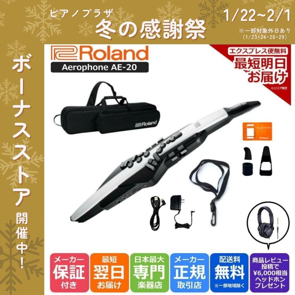ローランド（Roland） 【最短翌日お届け】ローランド デジタル管楽器
