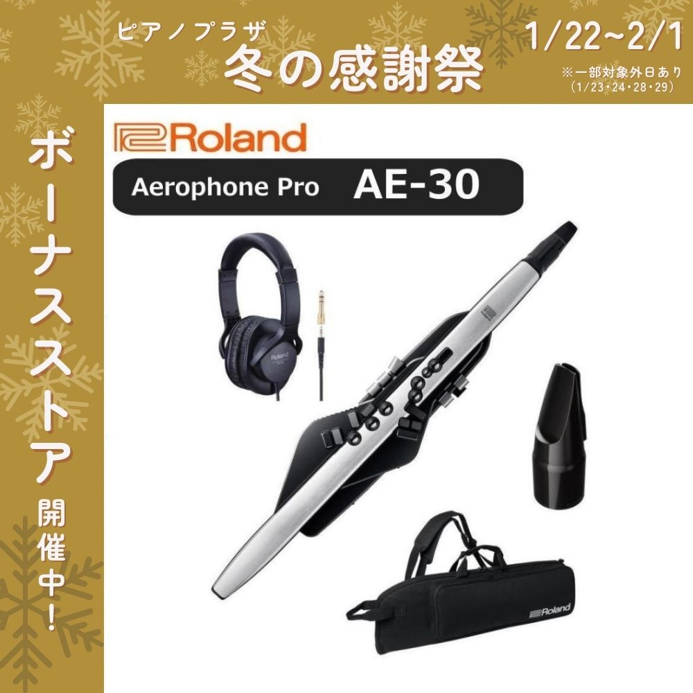 管楽器・吹奏楽器 Roland Aerophone Pro AE-30 Roland Aerophone Pro AE-30 « Blaswandler