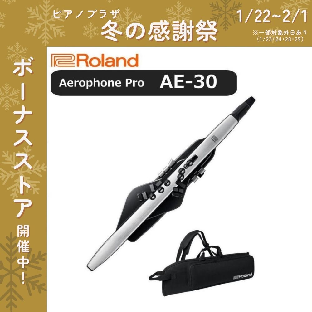 ローランド（Roland） 【最短翌日お届け】ローランド デジタル管楽器