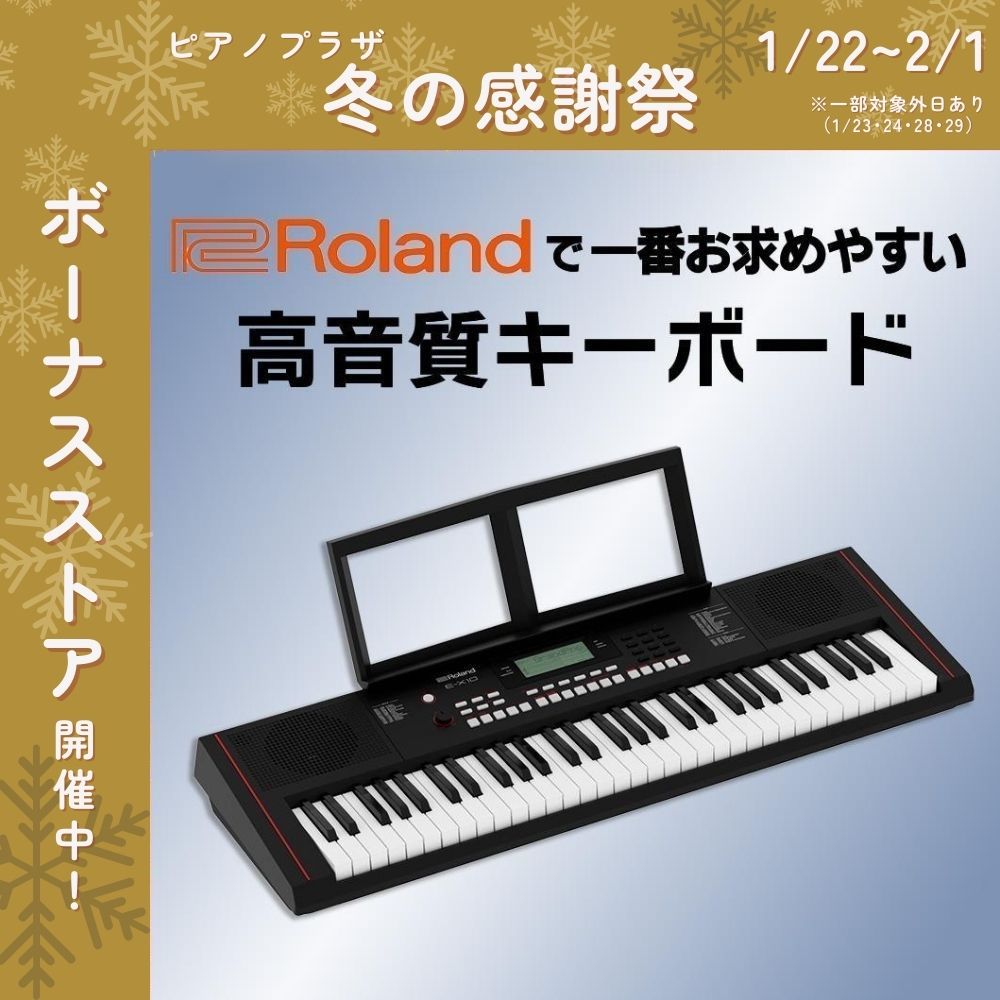 Roland E-X10 シンセサイザー 61鍵 Roland E-X10 《61鍵キーボード》【Webショップ限定】（新品）【楽器