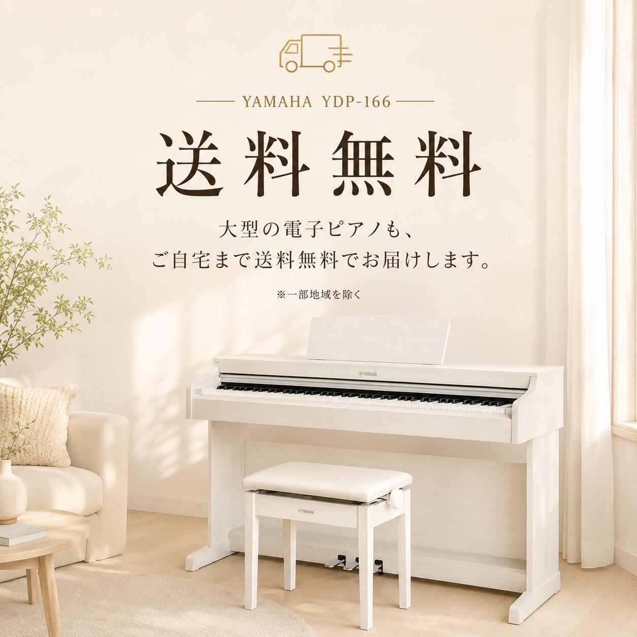 ARIUS 【6/25発売】【初心者安心セット】【最短翌日配送】【組立設置