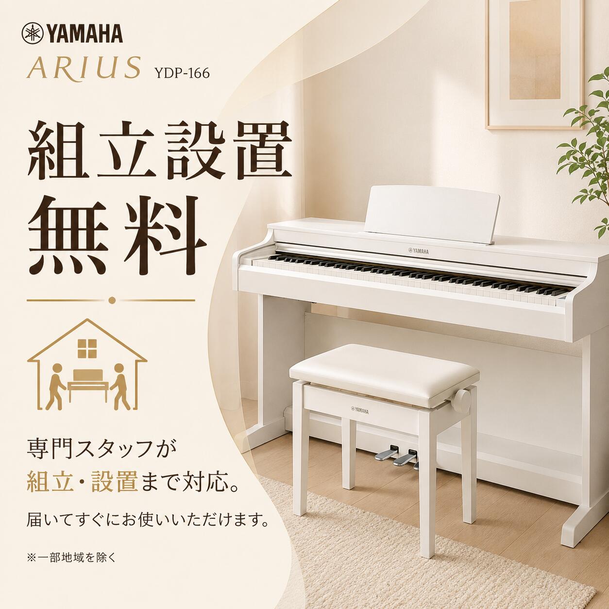 ARIUS 【6/25発売】【初心者安心セット】【最短翌日配送】【組立設置