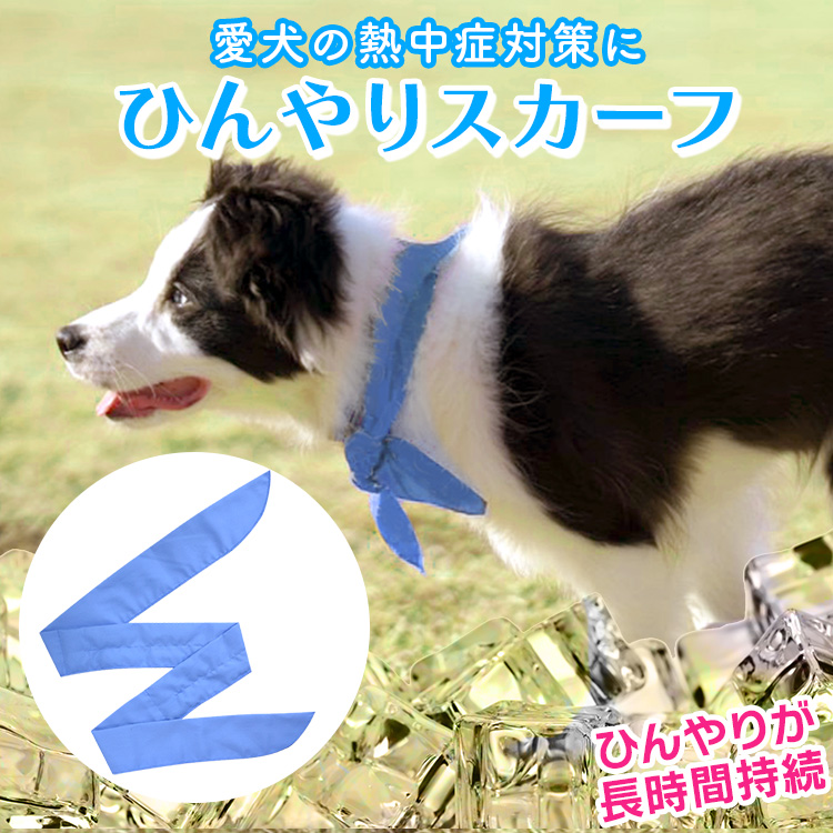 最大58％オフ！ 犬 クールネック ひんやり クールスカーフ 猫 ペット