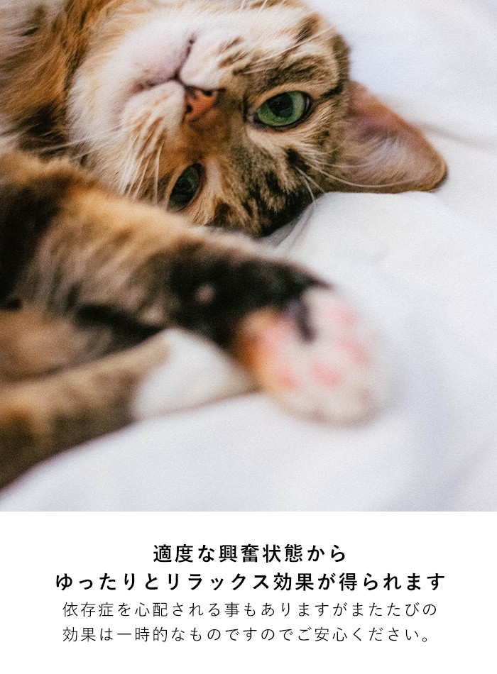 市場 無添加良品 猫 お腹の中の毛玉ケア フード 猫にまたたび 粉末タイプ a ドギーマンハヤシ 0.5g×10包 ペット キャット