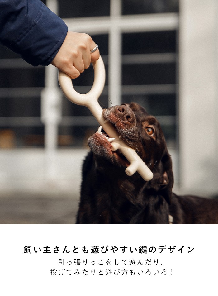 犬用おもちゃ 鍵 M L Pidan ピダン 犬 おもちゃ 噛む 壊れない 丈夫 歯磨き ペット 犬用品 おしゃれ 犬用 005 Pidan Yahoo 店 通販 Yahoo ショッピング