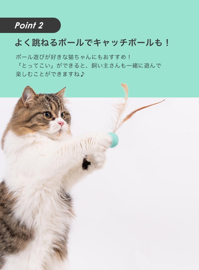 猫用おもちゃ 羽付きゴムボール 3個セット) pidan ピダン 猫 ねこ ネコ おもちゃ オモチャ 玩具 一人遊び ひとり遊び 羽根 羽 ボール  猫じゃらし ストレス :30104:pidan Yahoo!店 - 通販 - Yahoo!ショッピング