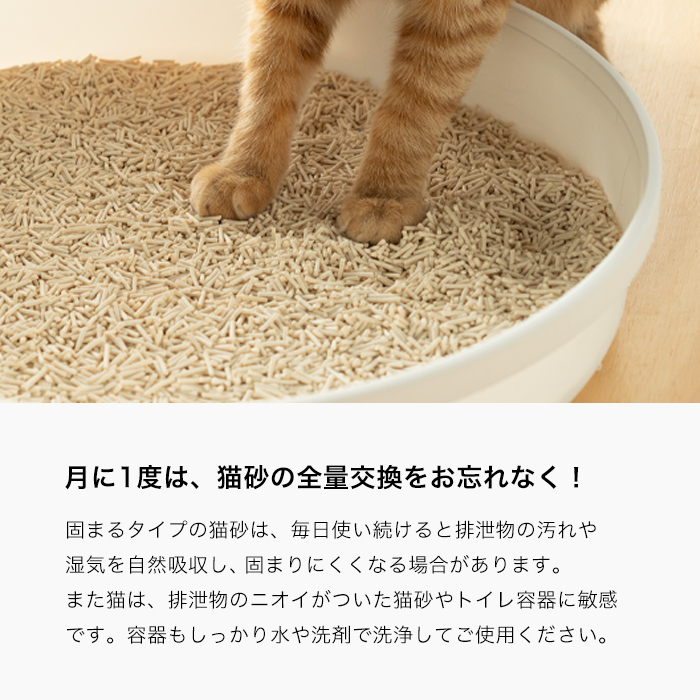 (猫砂 おから 6L 単品1袋) pidan ピダン 猫砂 猫 砂 ネコ砂 ネコすな ねこ砂 ねこすな おから おからの猫砂 消臭 固まる猫砂 固まる  飛び散り防止 猫トイレ :30110:pidan Yahoo!店 - 通販