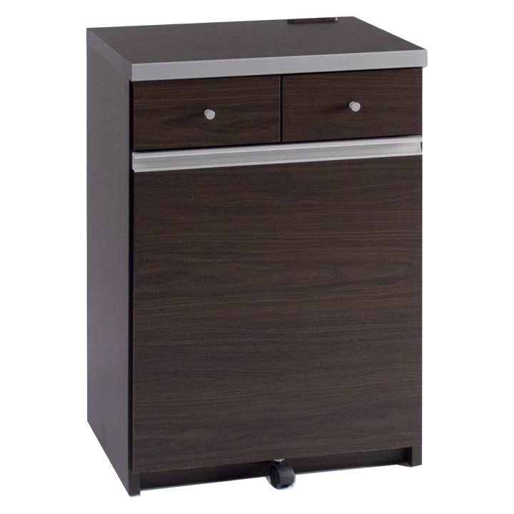 日本製 完成品 ペール2個付き キッチン収納 幅55cm キッチンカウンター