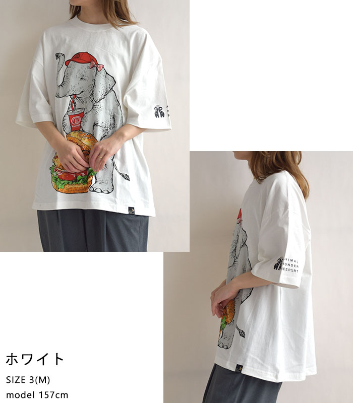 go slow caravan 2025春夏新作 ゴースローキャラバン DOMDOM T