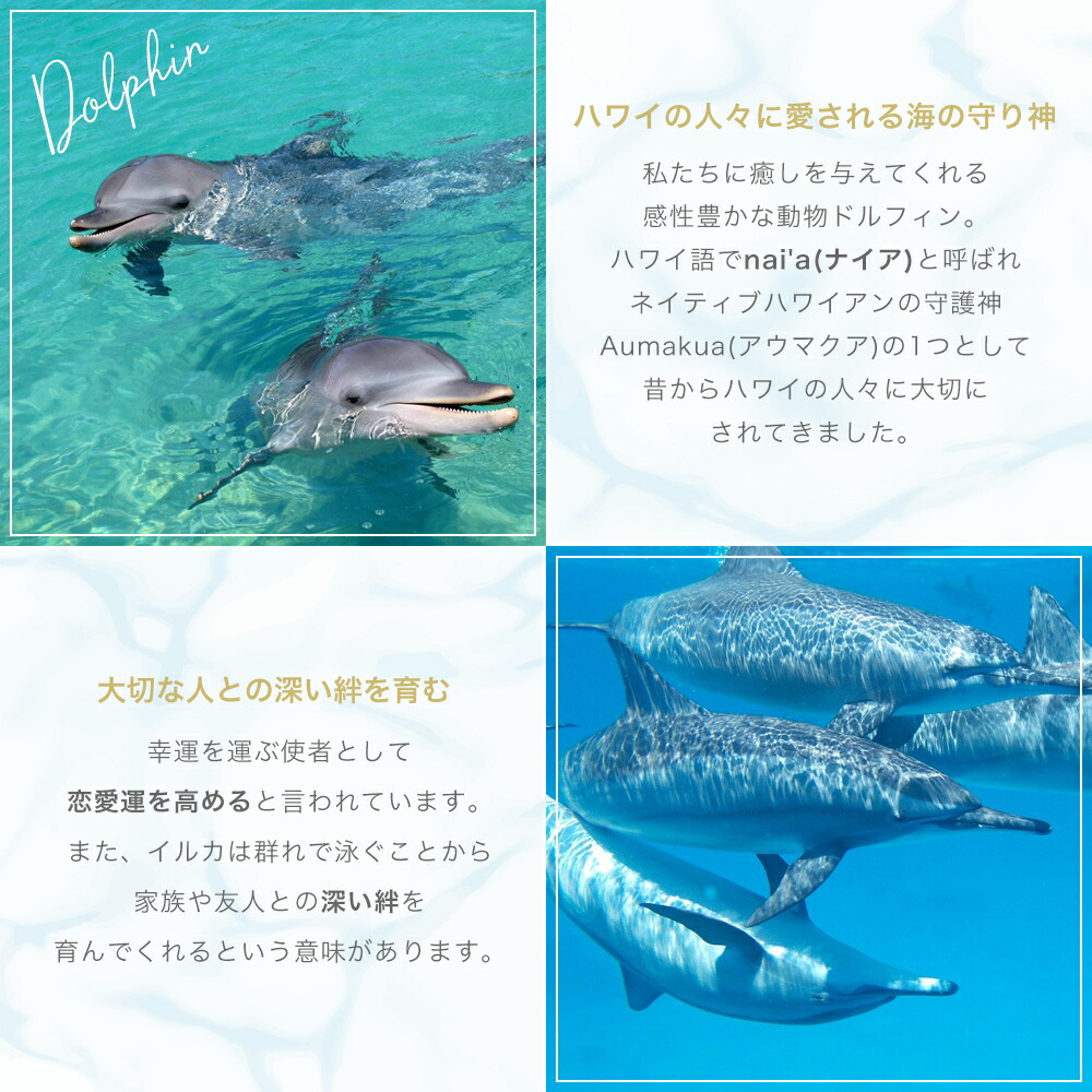 ドルフィンフックピアス ハワジュ サージカルステンレス イルカ