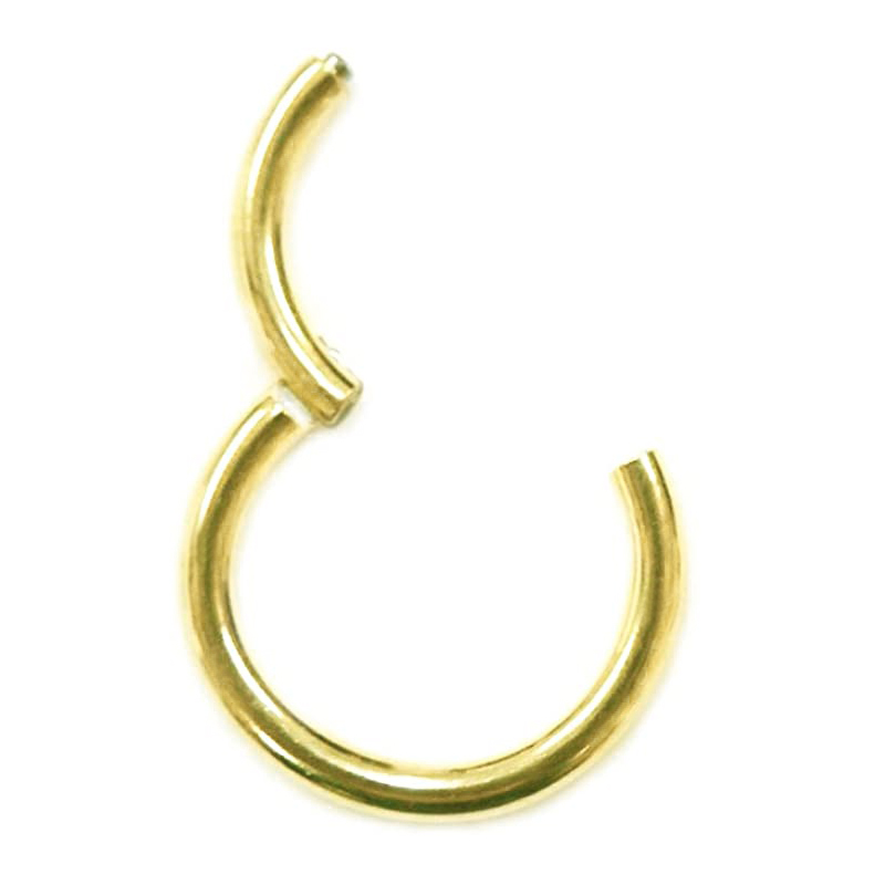 フープピアス 医療用ステンレス 24K 16G 14G セグメントクリッカー
