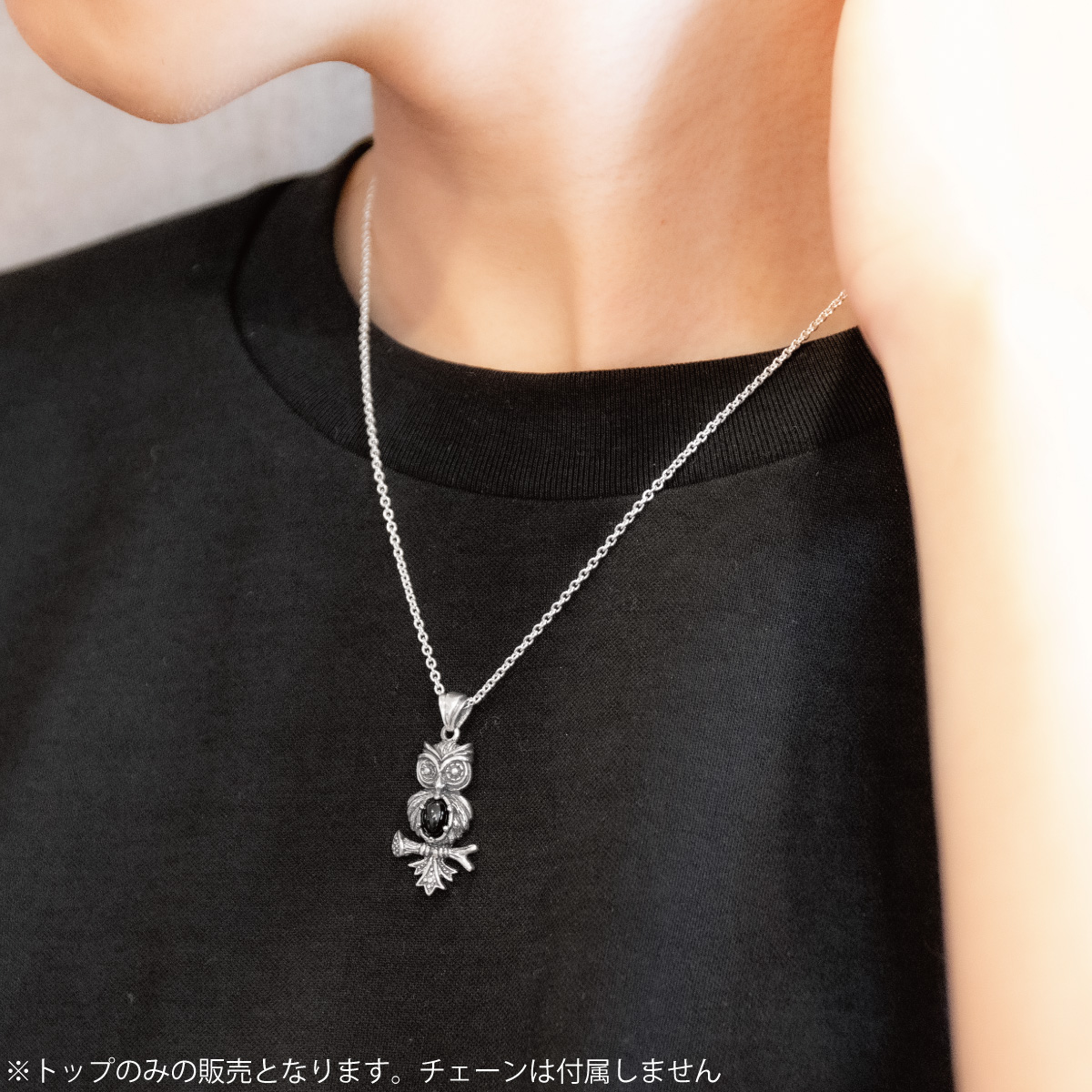 ペンダントトップ ネックレストップのみ メンズ レディース シルバー